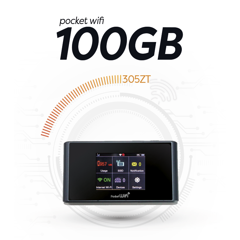 レンタル＆プリペイド Pocket 100G